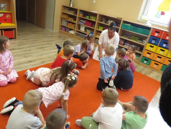 Ośmiorniczki, zdjęcia z zajęć X 2025