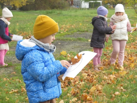 Ośmiorniczki i Zerówka, zajęcia na świeżym powietrzu, X 2025