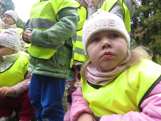 Zerówka, Ośmiorniczki, Akcja Pola Nadziei - DZIAŁAMY SERCEM, X 2025