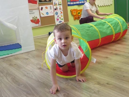 Rybki, zdjęcia z gimnastyki XI 2025